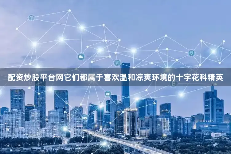 配资炒股平台网它们都属于喜欢温和凉爽环境的十字花科精英