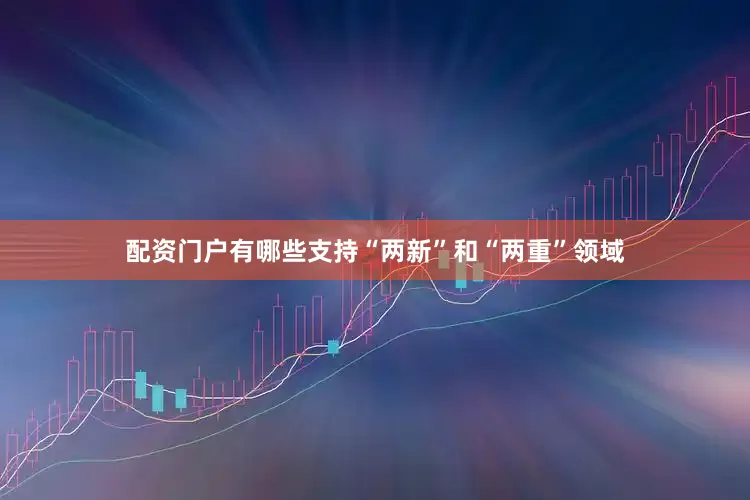 配资门户有哪些支持“两新”和“两重”领域