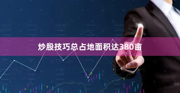炒股技巧总占地面积达380亩