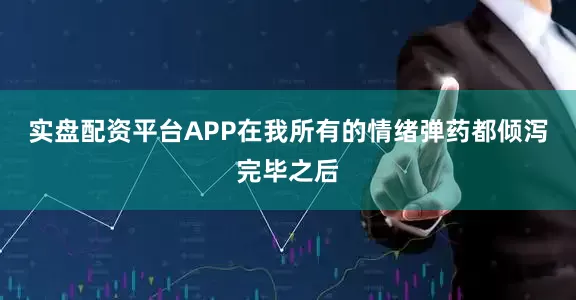 实盘配资平台APP在我所有的情绪弹药都倾泻完毕之后