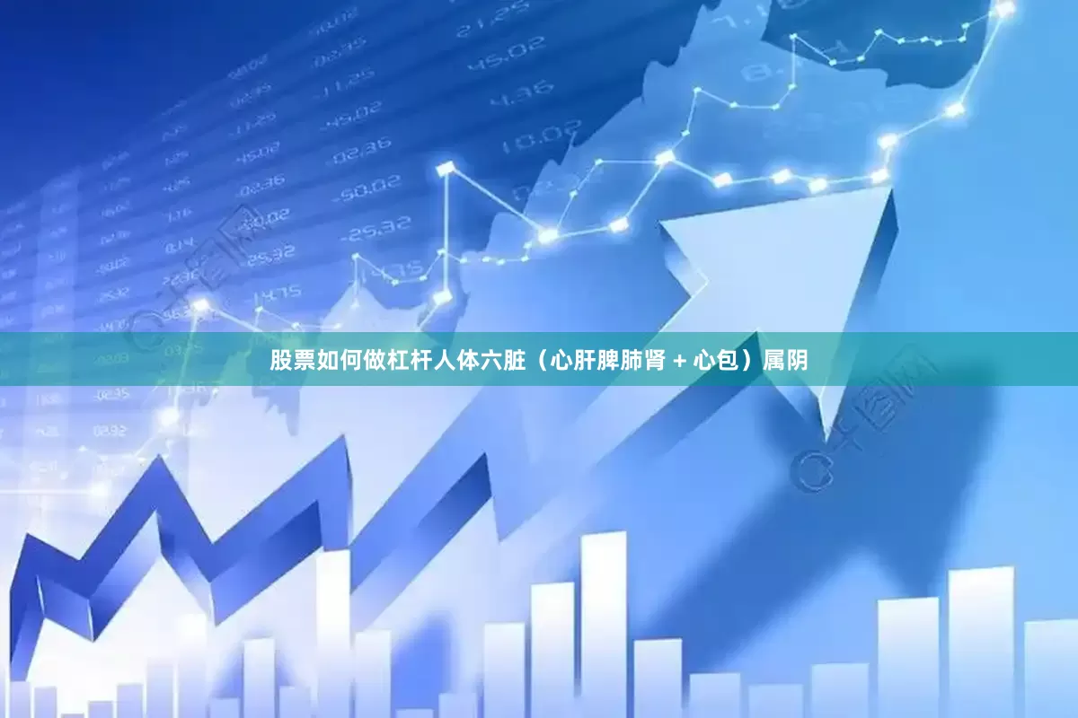 股票如何做杠杆人体六脏（心肝脾肺肾 + 心包）属阴