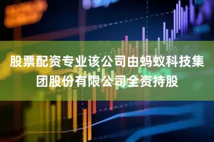 股票配资专业该公司由蚂蚁科技集团股份有限公司全资持股